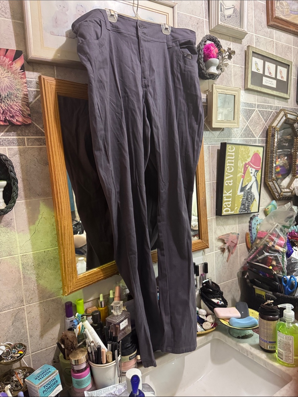Iq pants